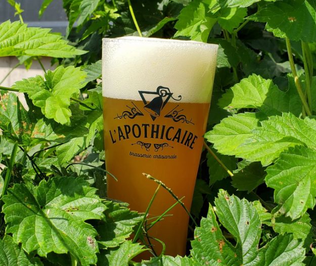 L’Apothicaire brasserie artisanale - IPA Belge 6%